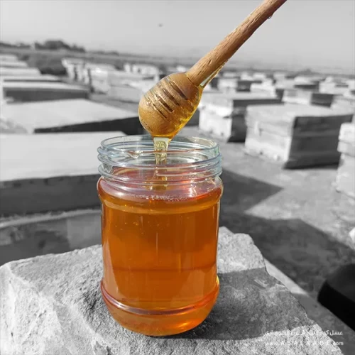 عسل خارشتر صاف شده ارگانیک